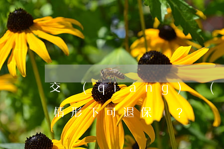 交強(qiáng)險(xiǎn)在哪些情形下可退保？
